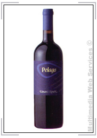 Vini rossi: Pelago