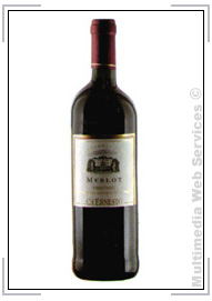 Vini rossi: Trentino Merlot DOC